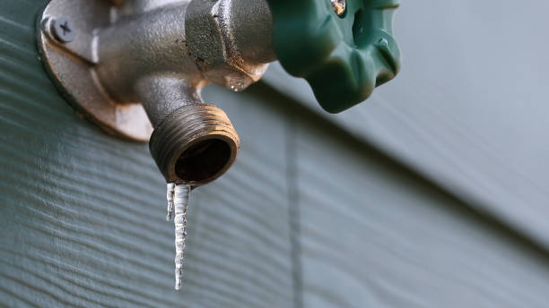 Best Shower Repair Services  in Alton, IA